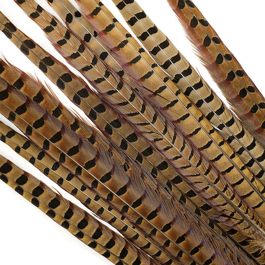 10 PC/PKG Ringneck Pheasant Tails 20-24’’ - NATURAL - Feathers