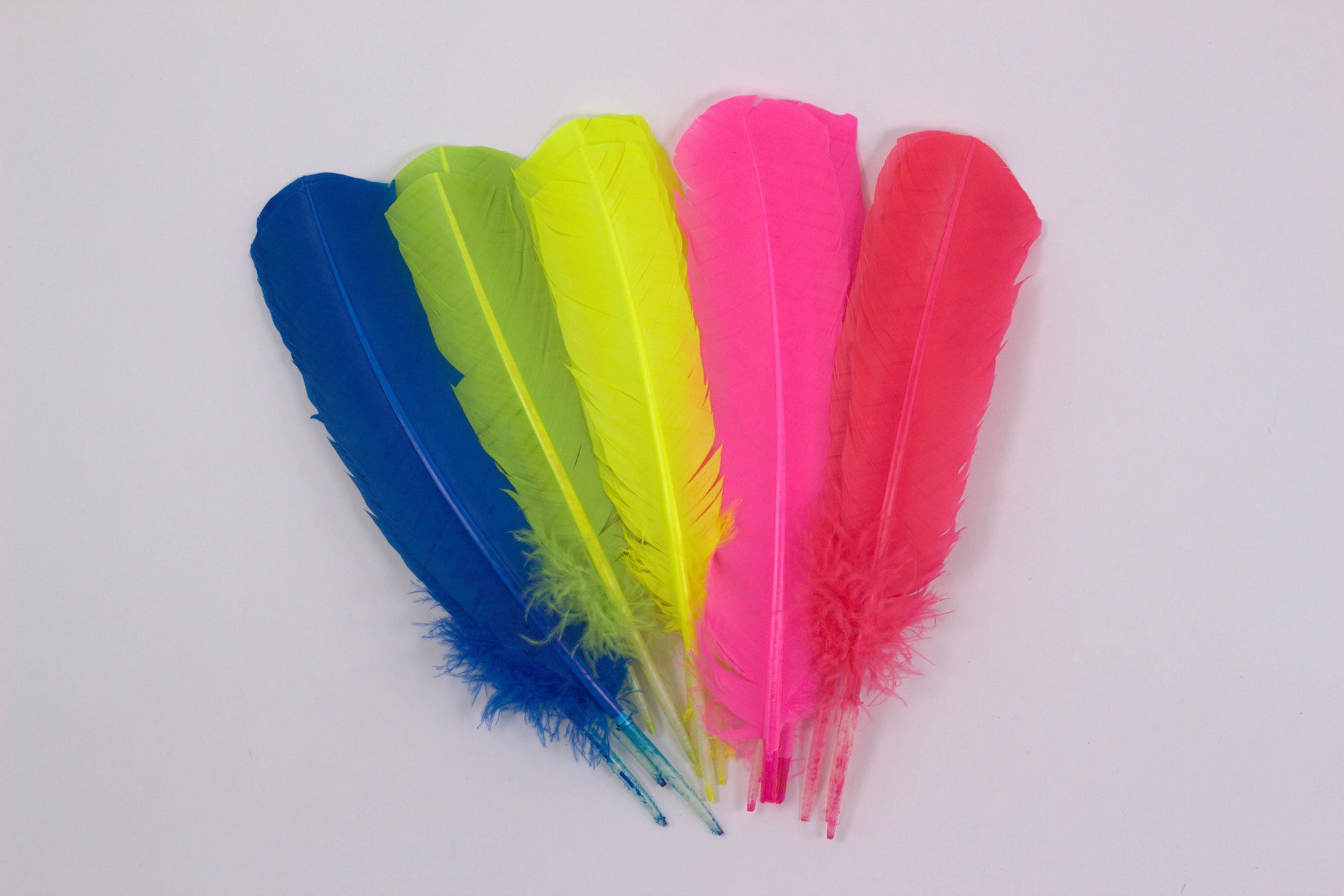 15 PCS Turkey quills Mix Dyed Feathers 10-12’’ - Neon - Feathers