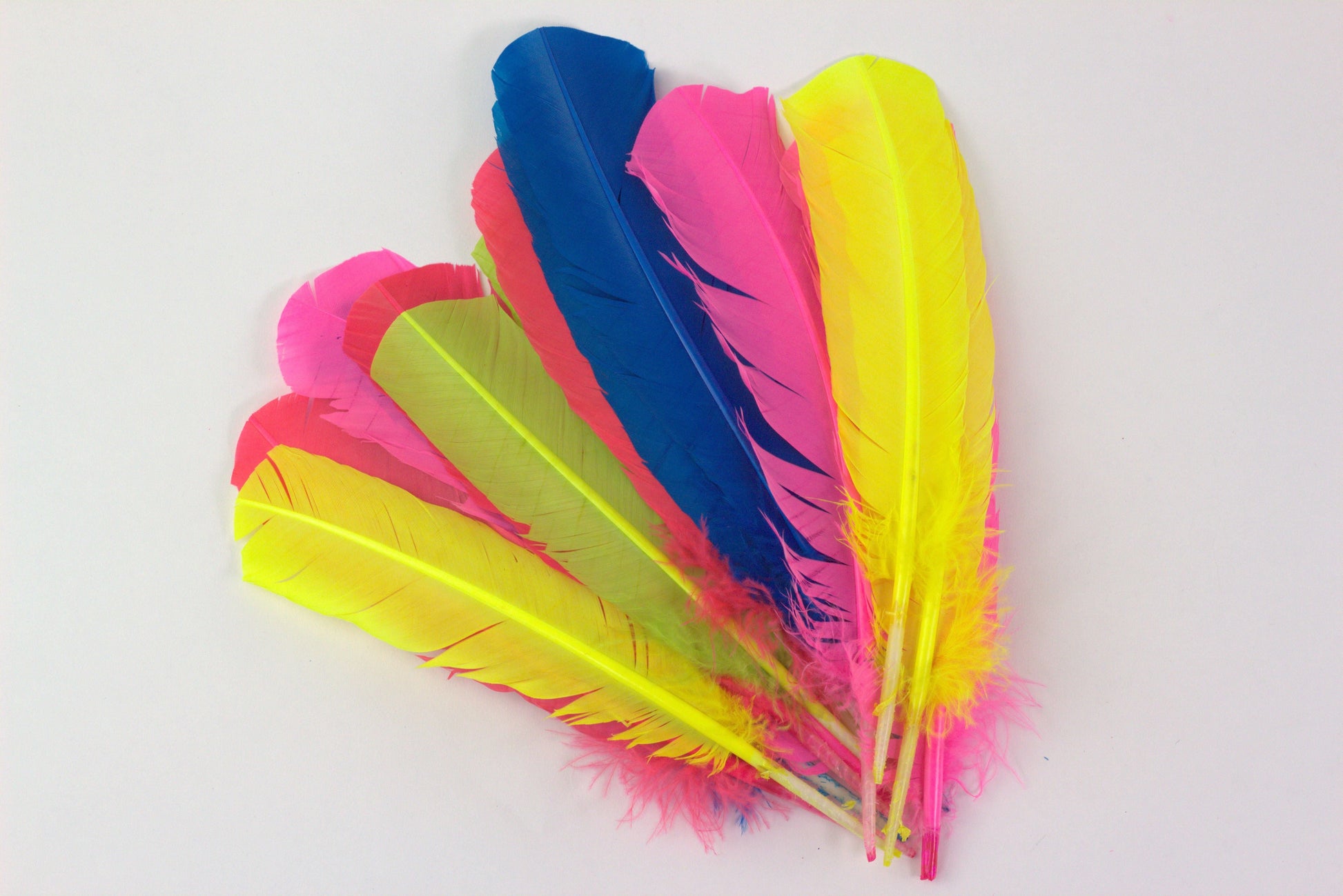 15 PCS Turkey quills Mix Dyed Feathers 10-12’’ - Neon - Feathers