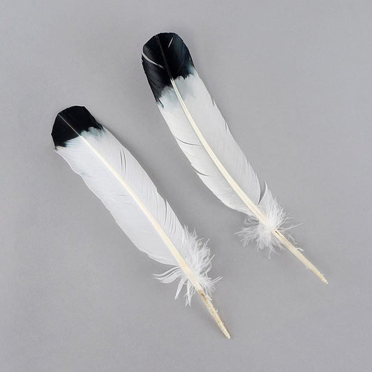 2 PC PKG Turkey Quills Imitation Eagle 10-12’’ - Black - Feathers