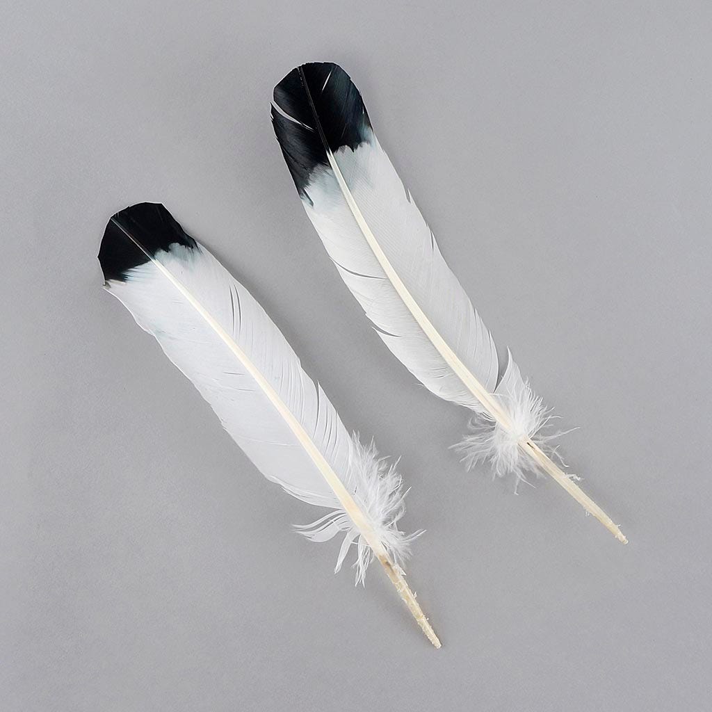 Imitation eagle turkey quills black tipped feather pair