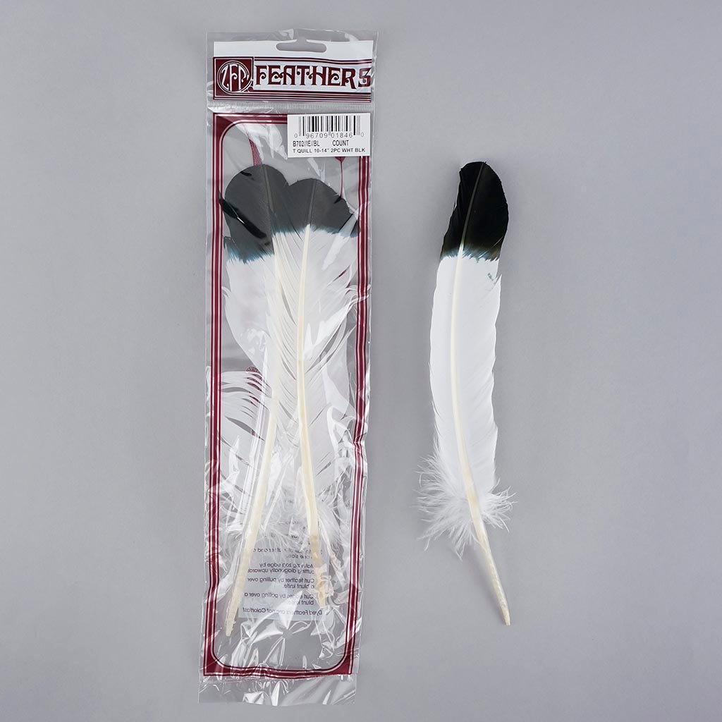 Imitation eagle turkey quills black tipped 2 piece package