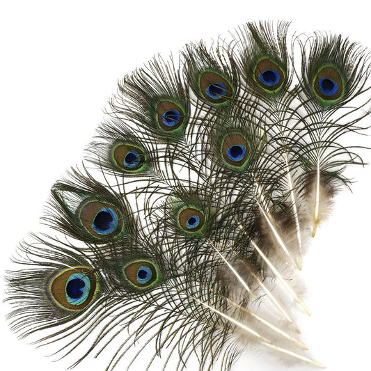 25 PCS Peacock Eye Feather Craft 4-10’’ - Natural - Feathers