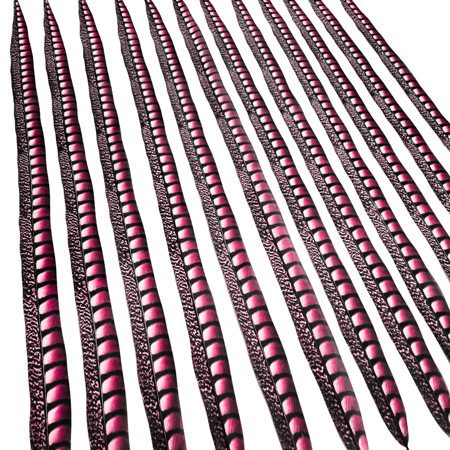 Shocking Pink Faux Lady Amherst Feathers 1 pc