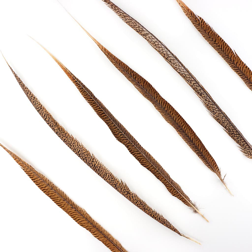 3 PC/PKG Golden Pheasant Tails 20-25’’ - Natural - Feathers