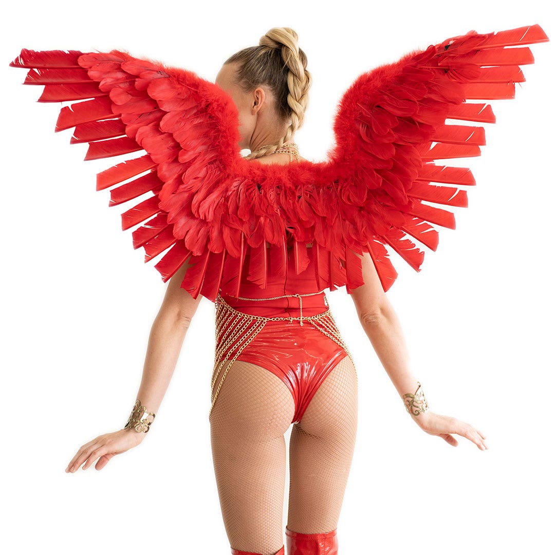 3D Angel Wings - Red - Feathers