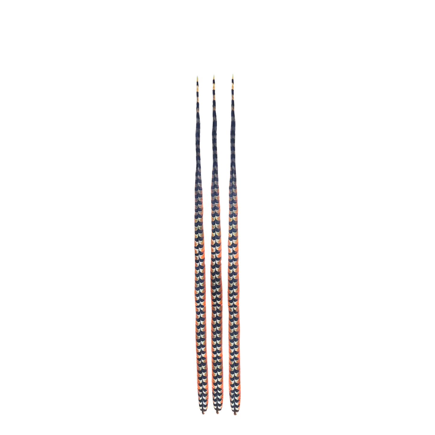 Faux Venery Pheasant Feather Tails 41 inch - 3 pcs