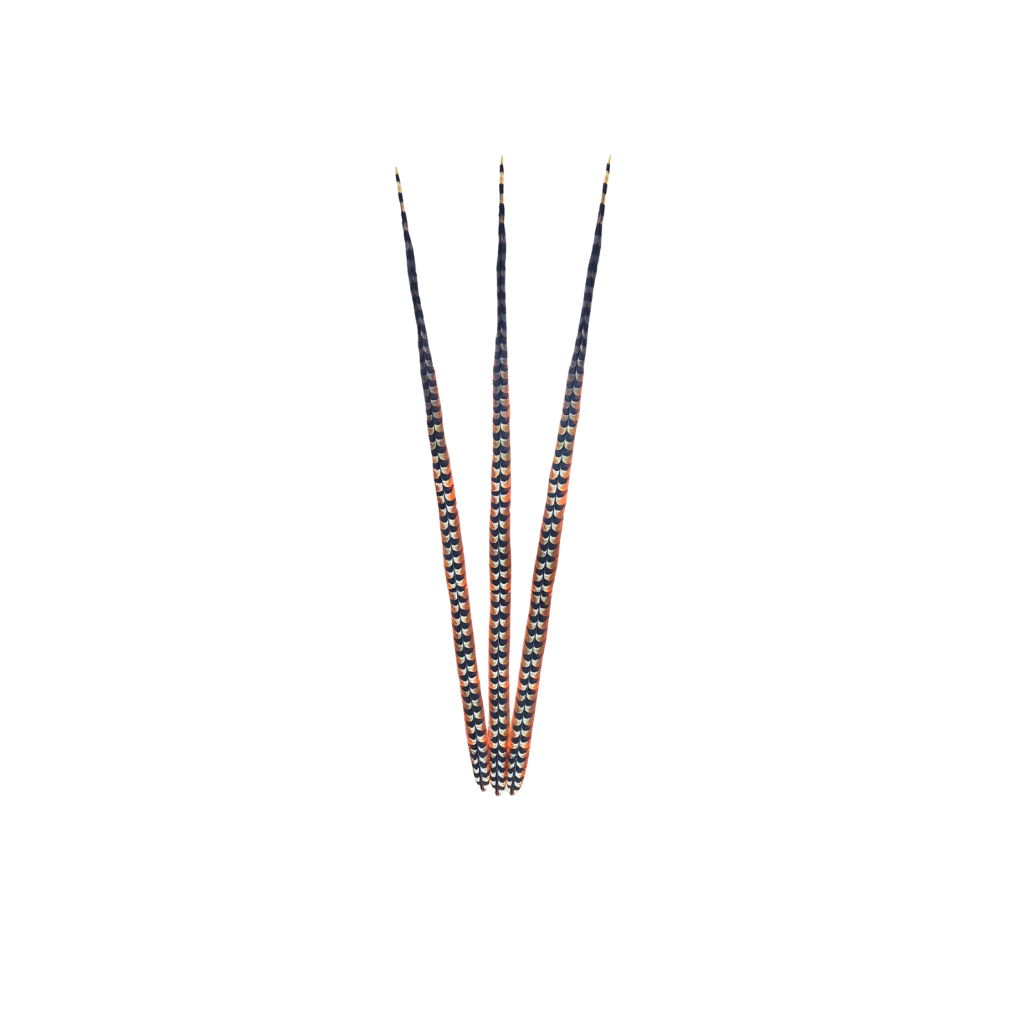 Faux Venery Pheasant Feather Tails 41 inch - 3 pcs