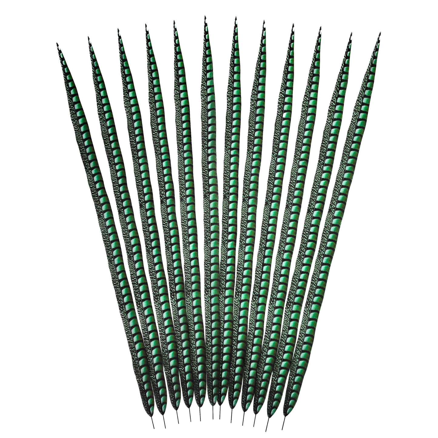 Kelly Green Faux Lady Amherst Feathers 1 pc