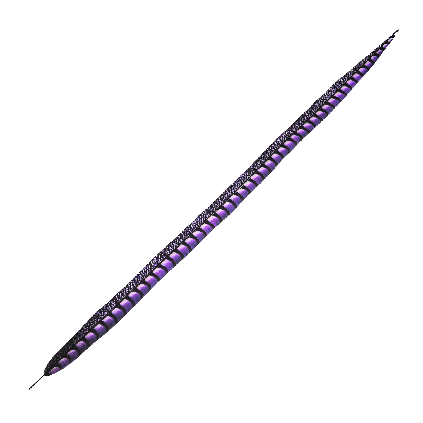 Lavender Faux Lady Amherst Feathers 1 pc