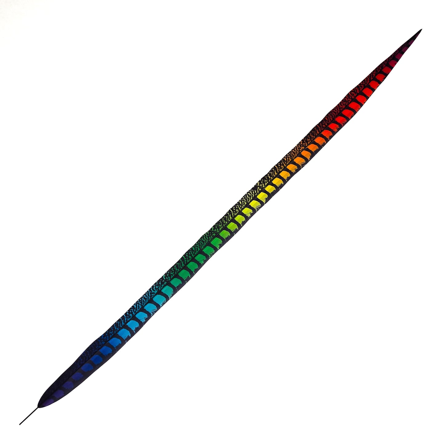 Rainbow Faux Lady Amherst Feathers 1 pc