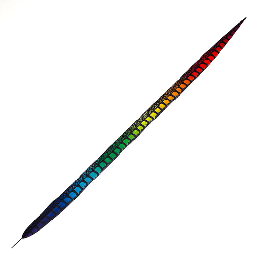 Rainbow Faux Lady Amherst Feathers 1 pc