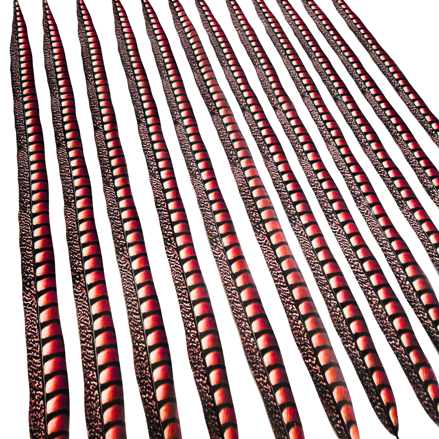 Red Faux Lady Amherst Feathers 1 pc