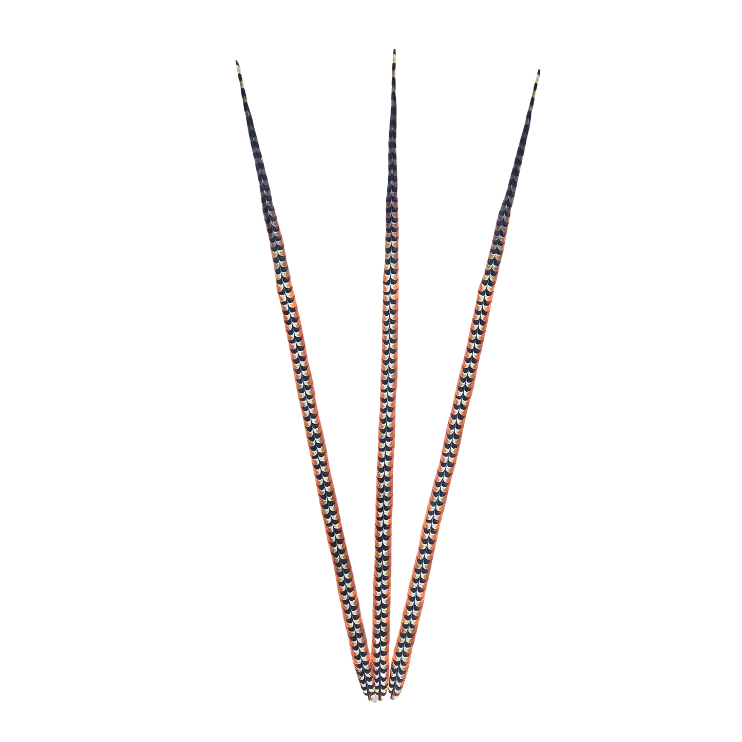 Faux Venery Pheasant Feather Tails 58 inch - 3 pcs