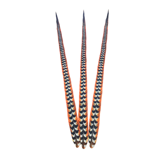 Faux Venery Pheasant Feather Tails 58 inch - 3 pcs