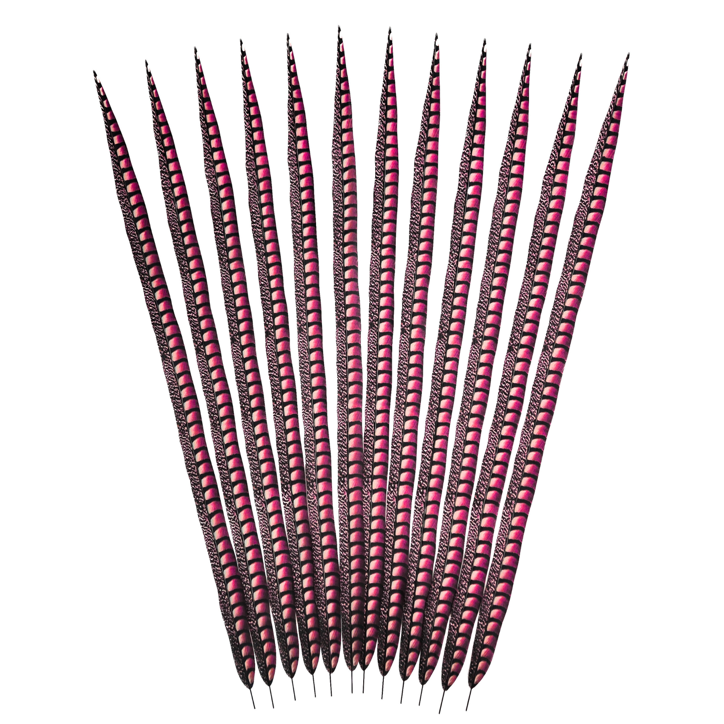 Shocking Pink Faux Lady Amherst Feathers 1 pc