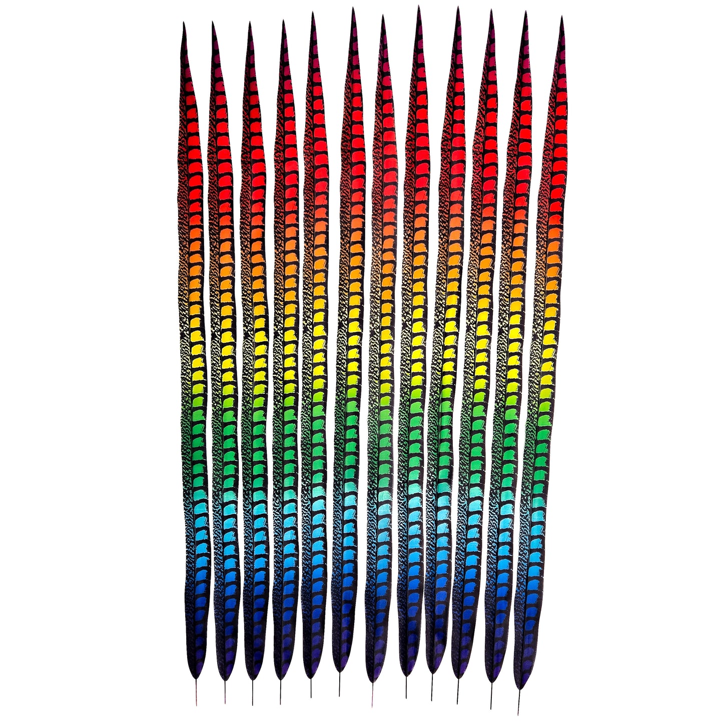 Rainbow Faux Lady Amherst Feathers 1 pc