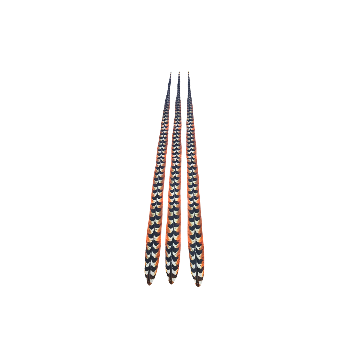 Faux Venery Pheasant Feather Tails 41 inch - 3 pcs