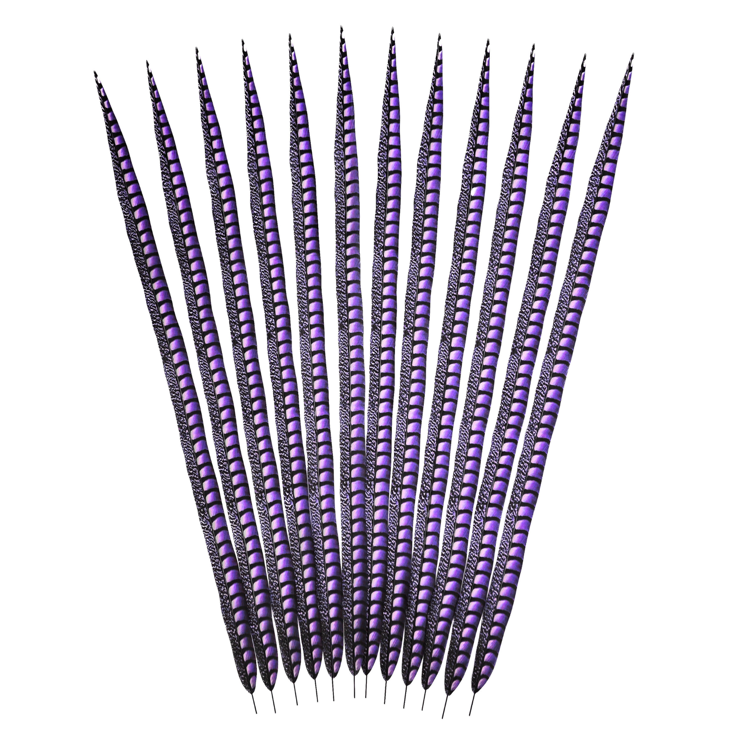 Lavender Faux Lady Amherst Feathers 1 pc