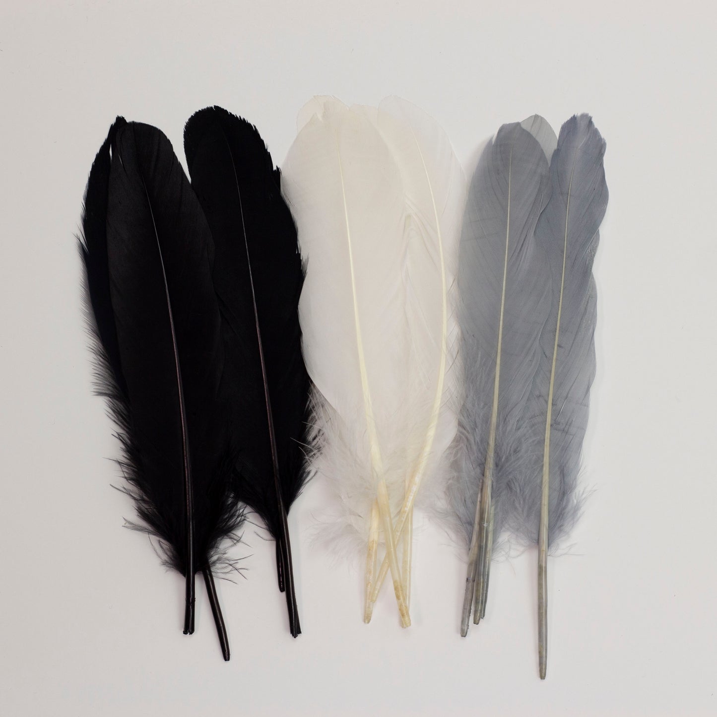Goose Feathers 7-8" - 12 pcs - Black and White