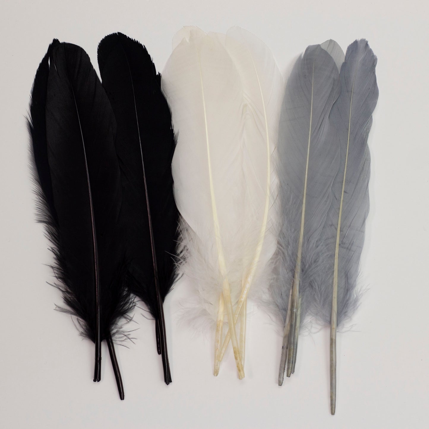 Goose Feathers 7-8" - 12 pcs - Black and White