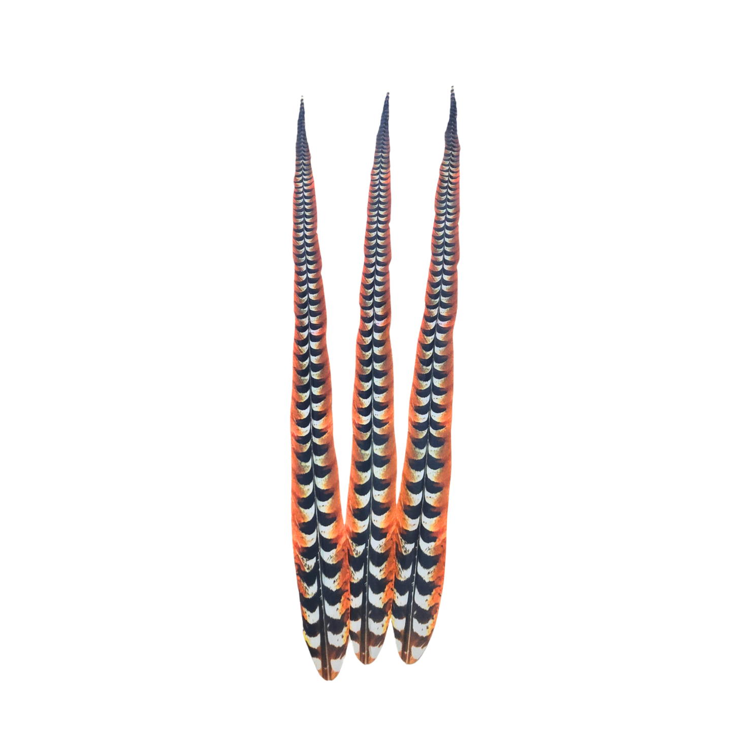 Faux Venery Pheasant Feather Tails 50 inch - 3 pcs