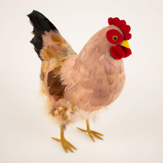 Brown Feather Hen 7" x 8"