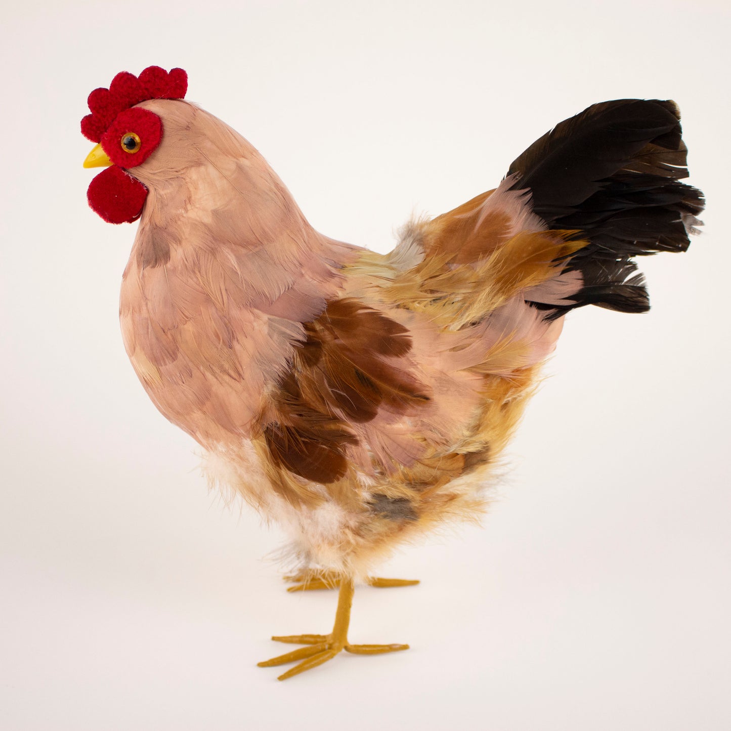 Brown Feather Hen 7" x 8"