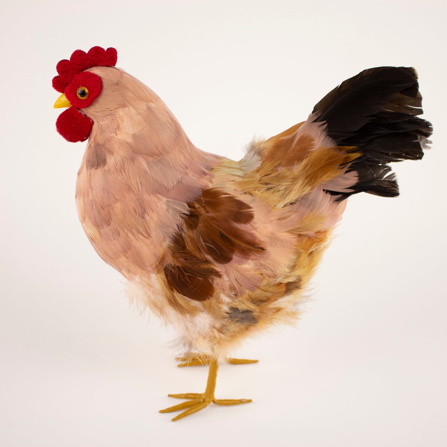 Brown Feather Hen 7" x 8"