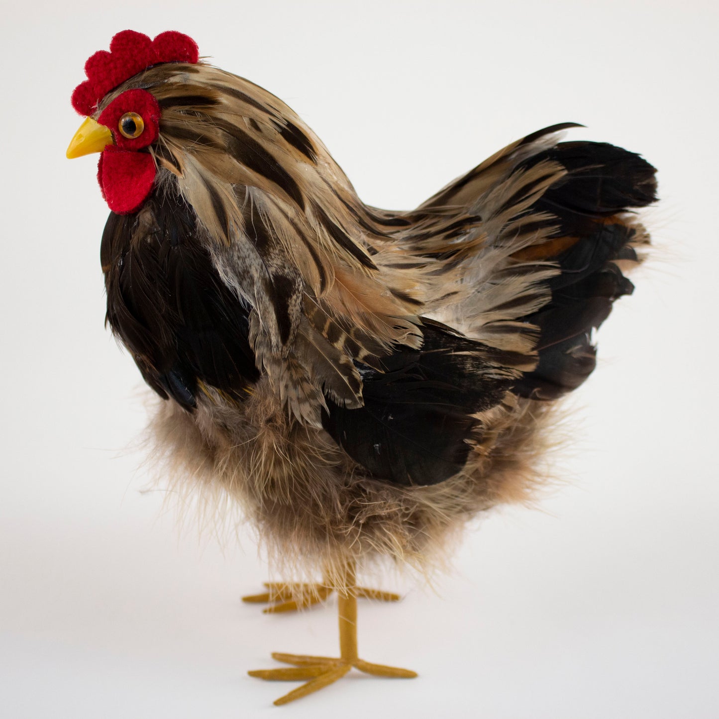 Natural Feather Hen 7" x 8"