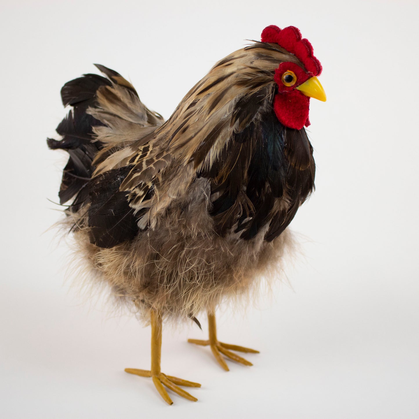 Natural Feather Hen 7" x 8"