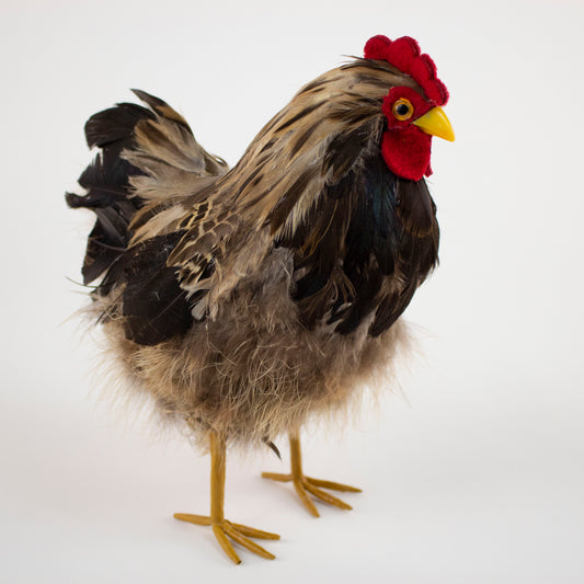 Natural Feather Hen 7" x 8"