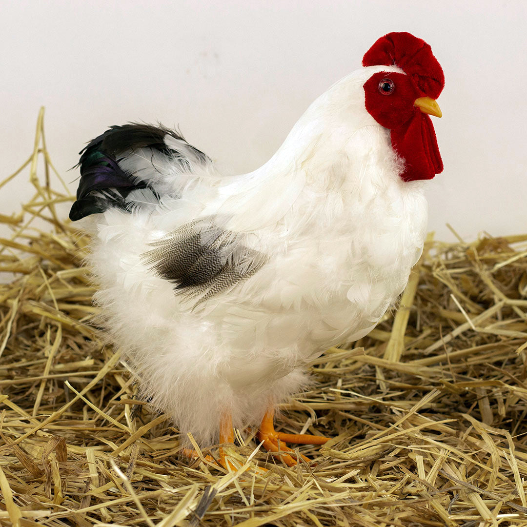 White and Black Hen Farmhouse Decor