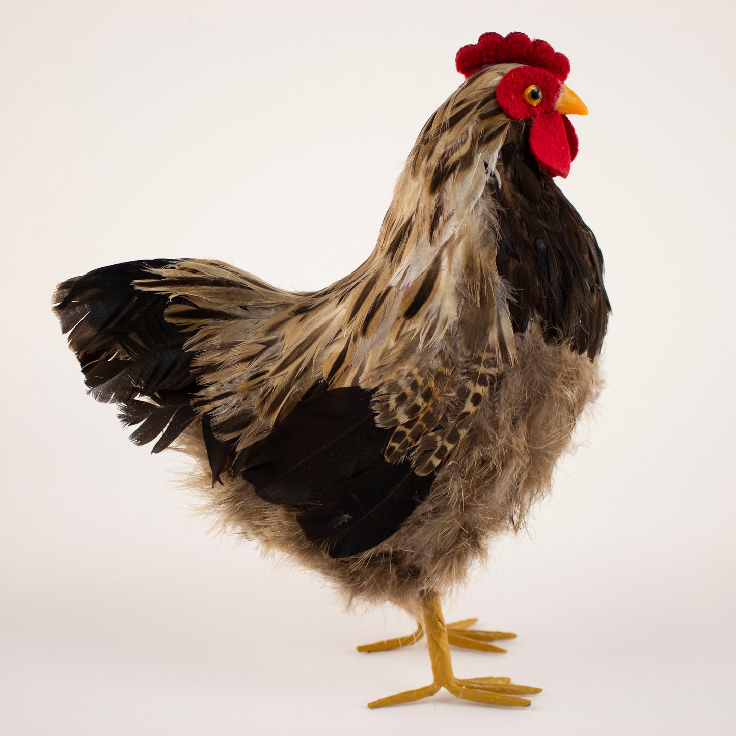 Natural Standing Hen 8.5" x 10"