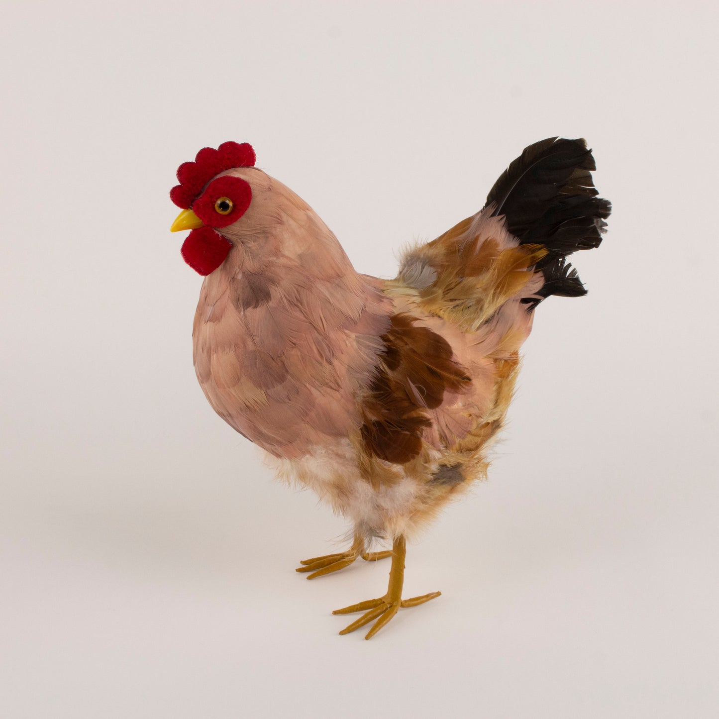 Natural Feather Hen 8.5" x 12"