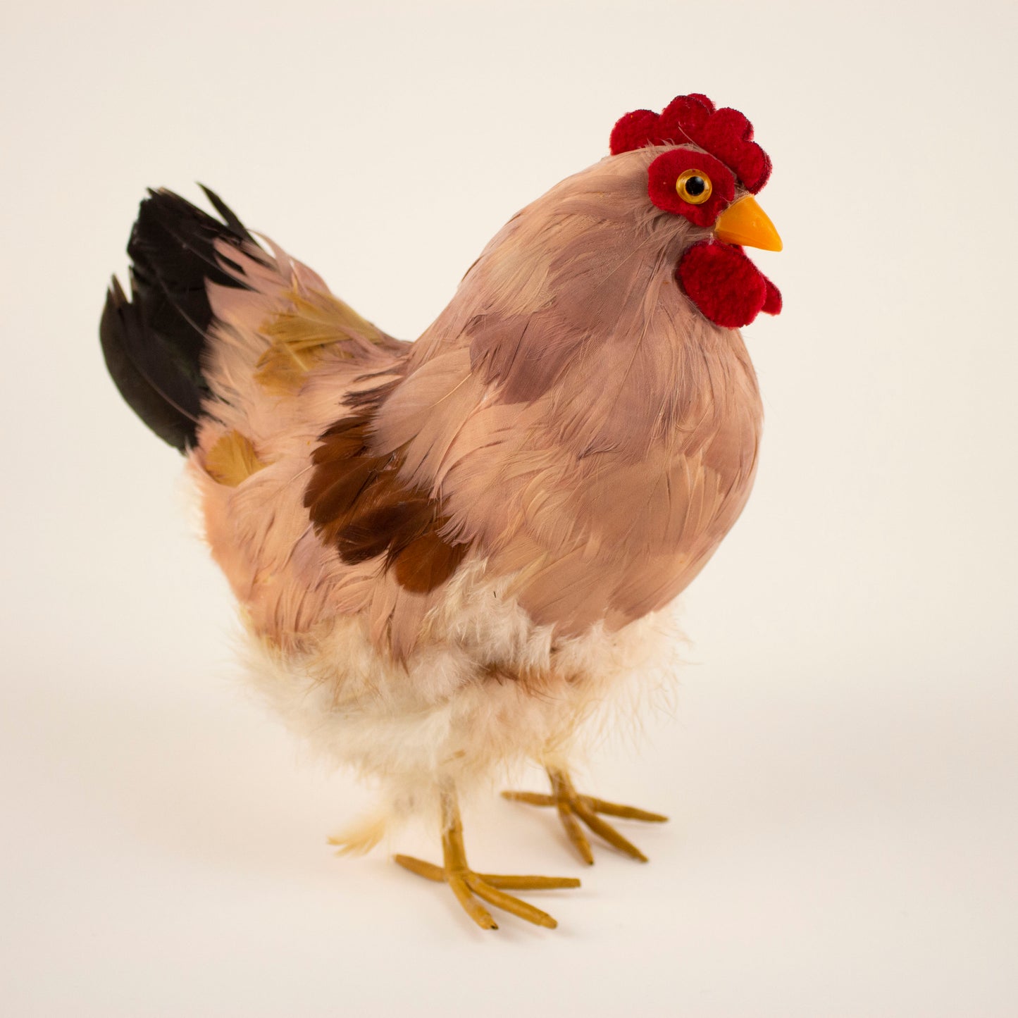 Natural Feather Hen 8.5" x 12"