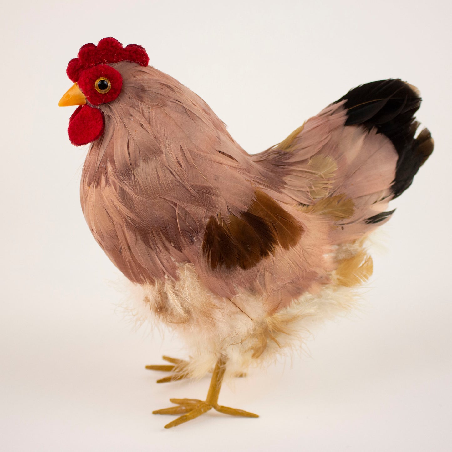 Natural Feather Hen 8.5" x 12"