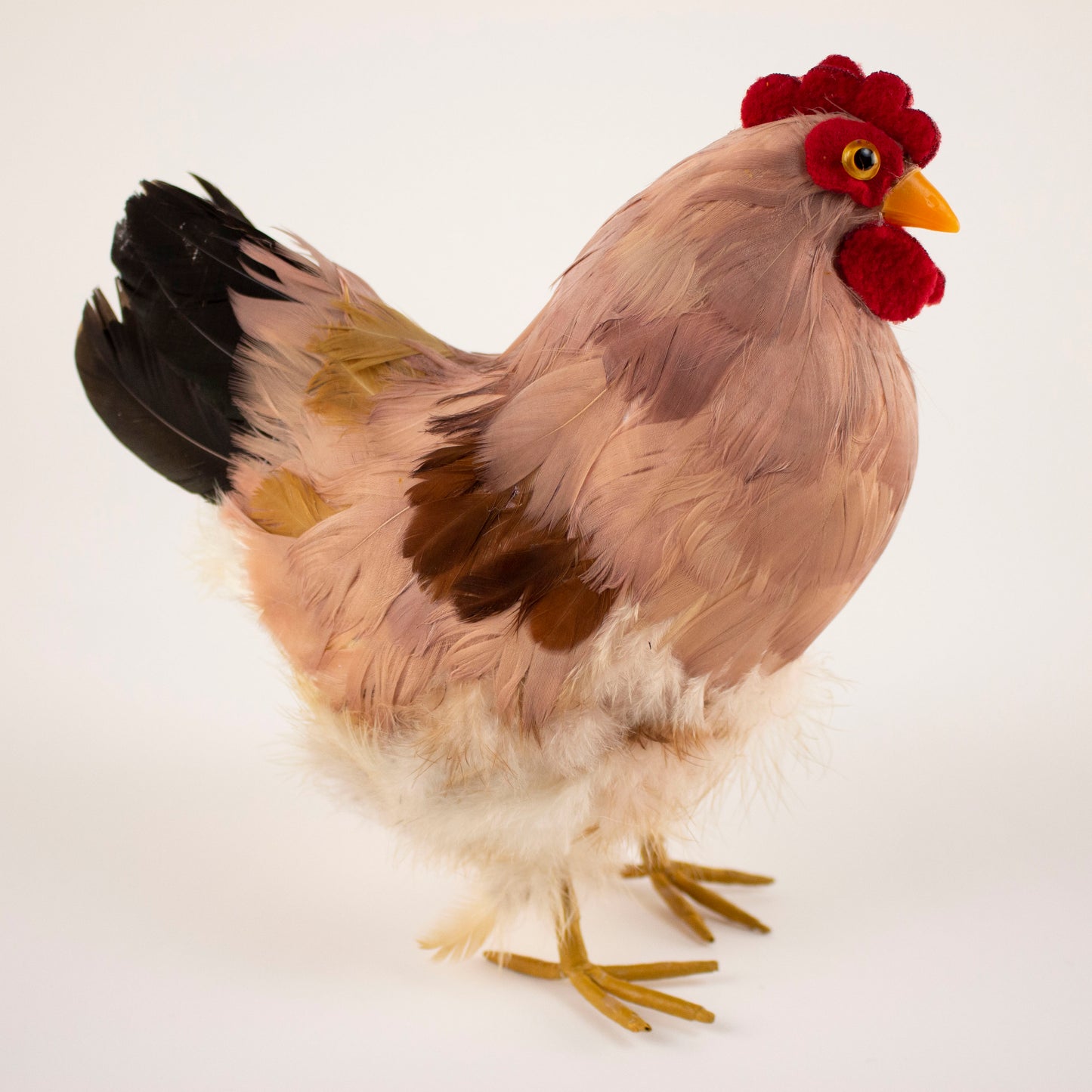 Natural Feather Hen 8.5" x 12"