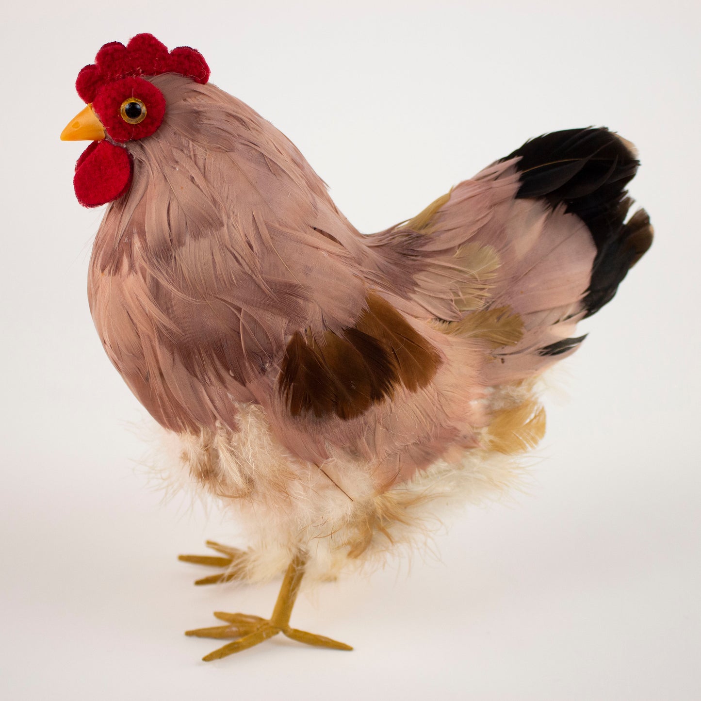 Natural Feather Hen 8.5" x 12"