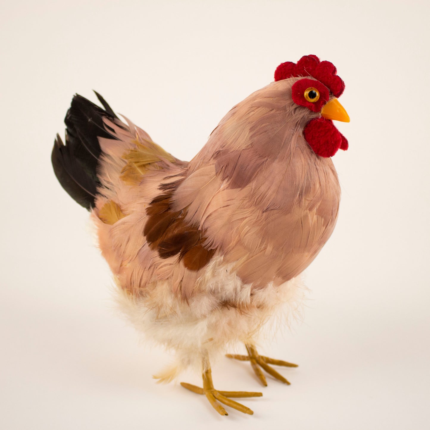 Natural Feather Hen 8.5" x 12"