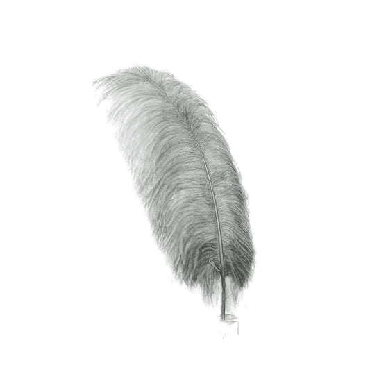 Large Ostrich Feathers - 20-25" Prime Femina Plumes - Gun Metal Grey