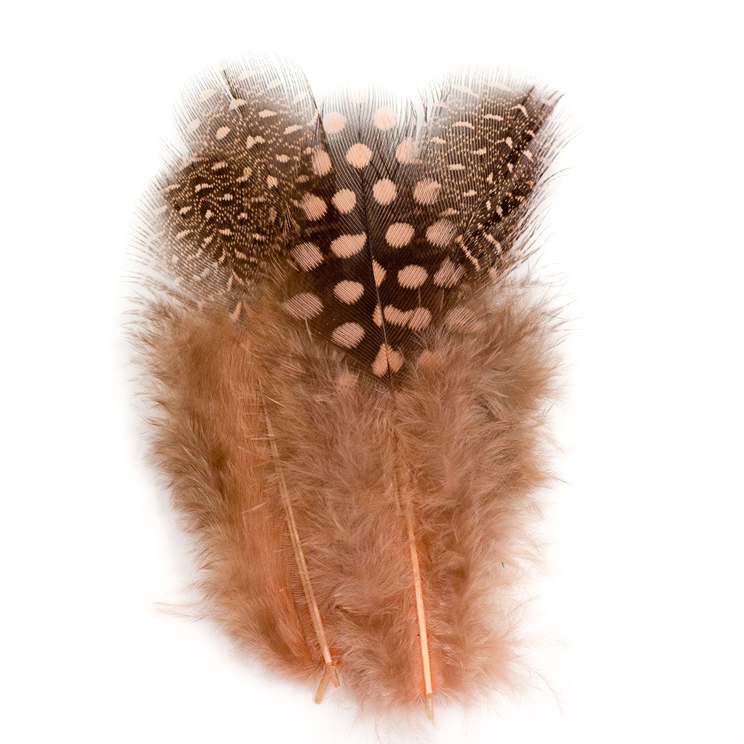 Ostrich and Goose Feather Kit - Rose