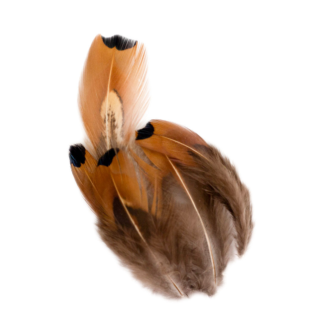 Ostrich and Goose Feather Kit - Teal