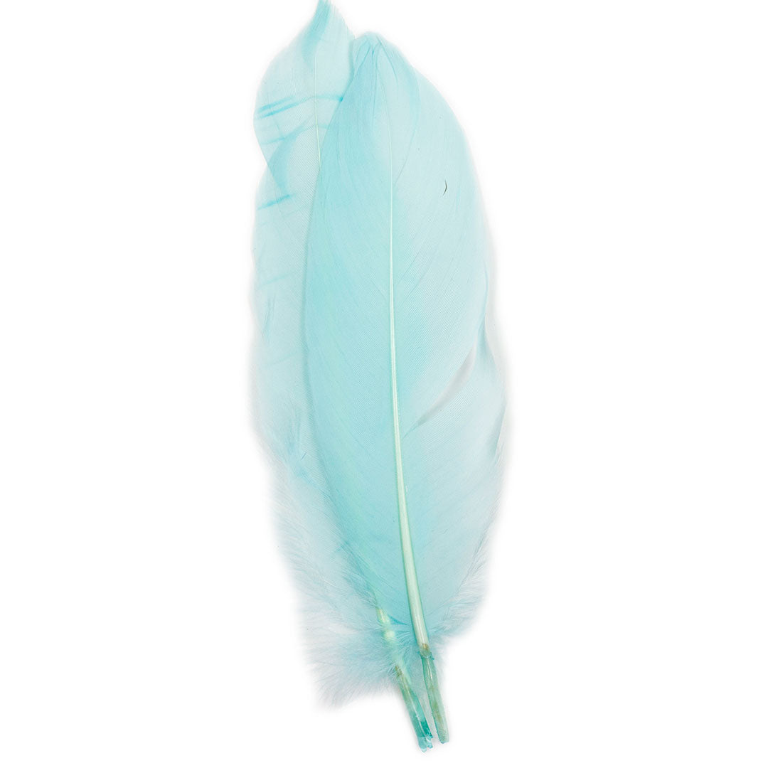 Ostrich and Goose Feather Kit - Teal