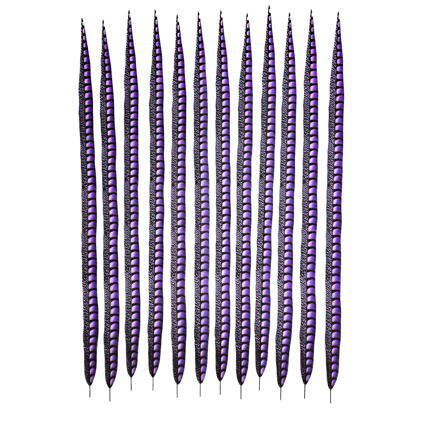 Lavender Faux Lady Amherst Feathers 1 pc