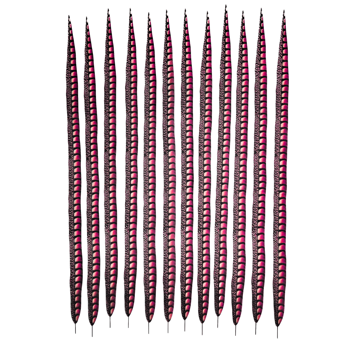 Shocking Pink Faux Lady Amherst Feathers 1 pc