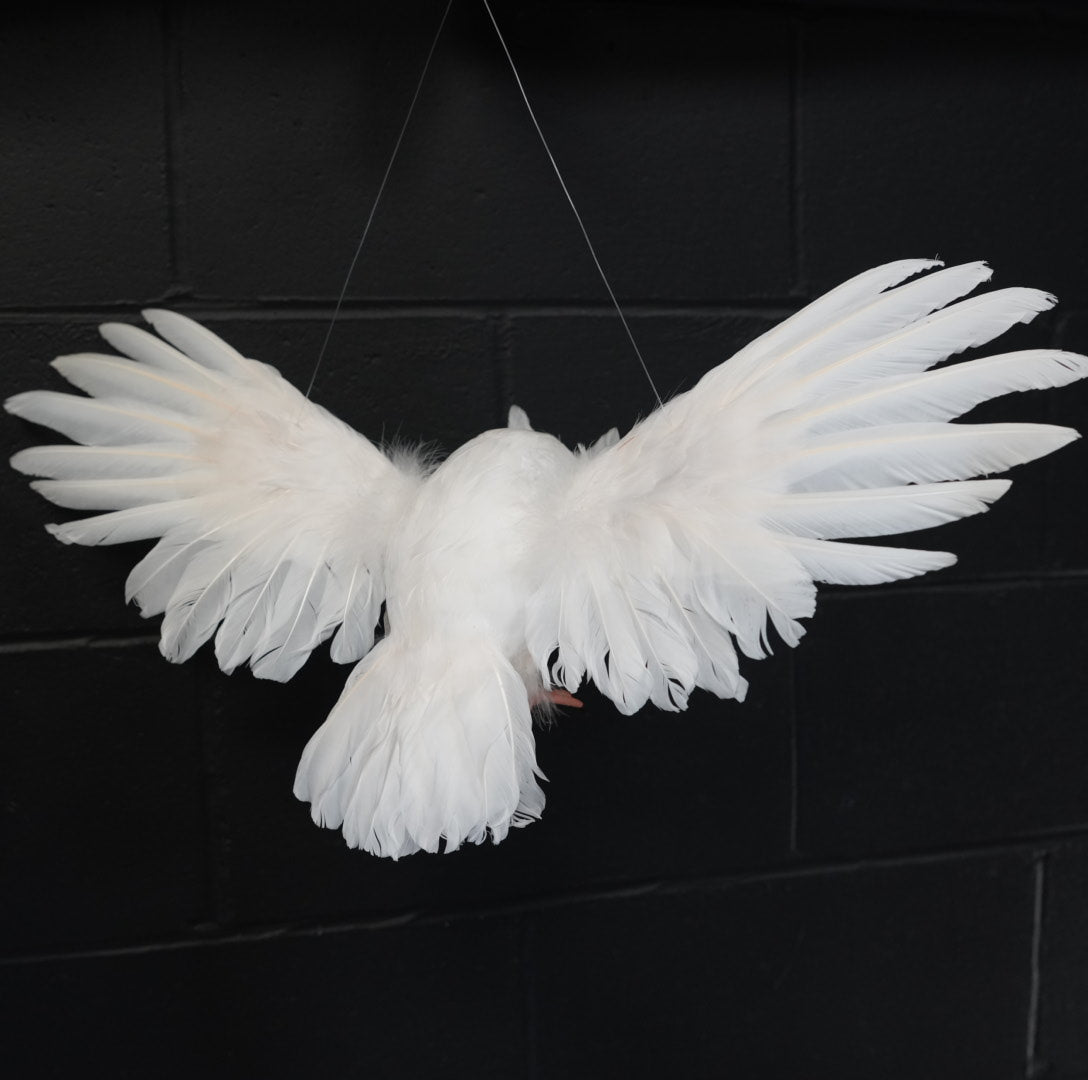 Flying White Owl