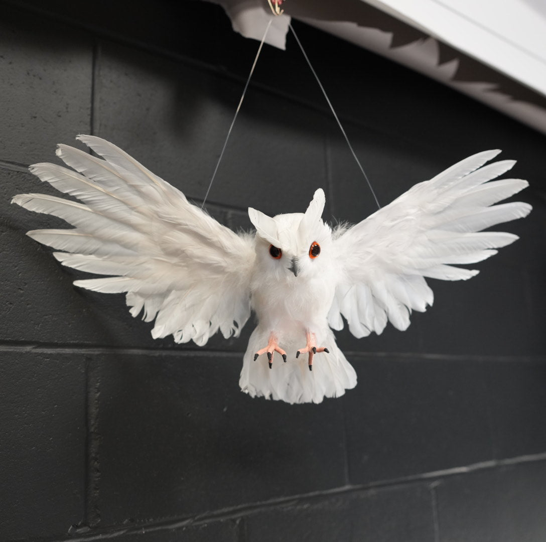 Flying White Owl