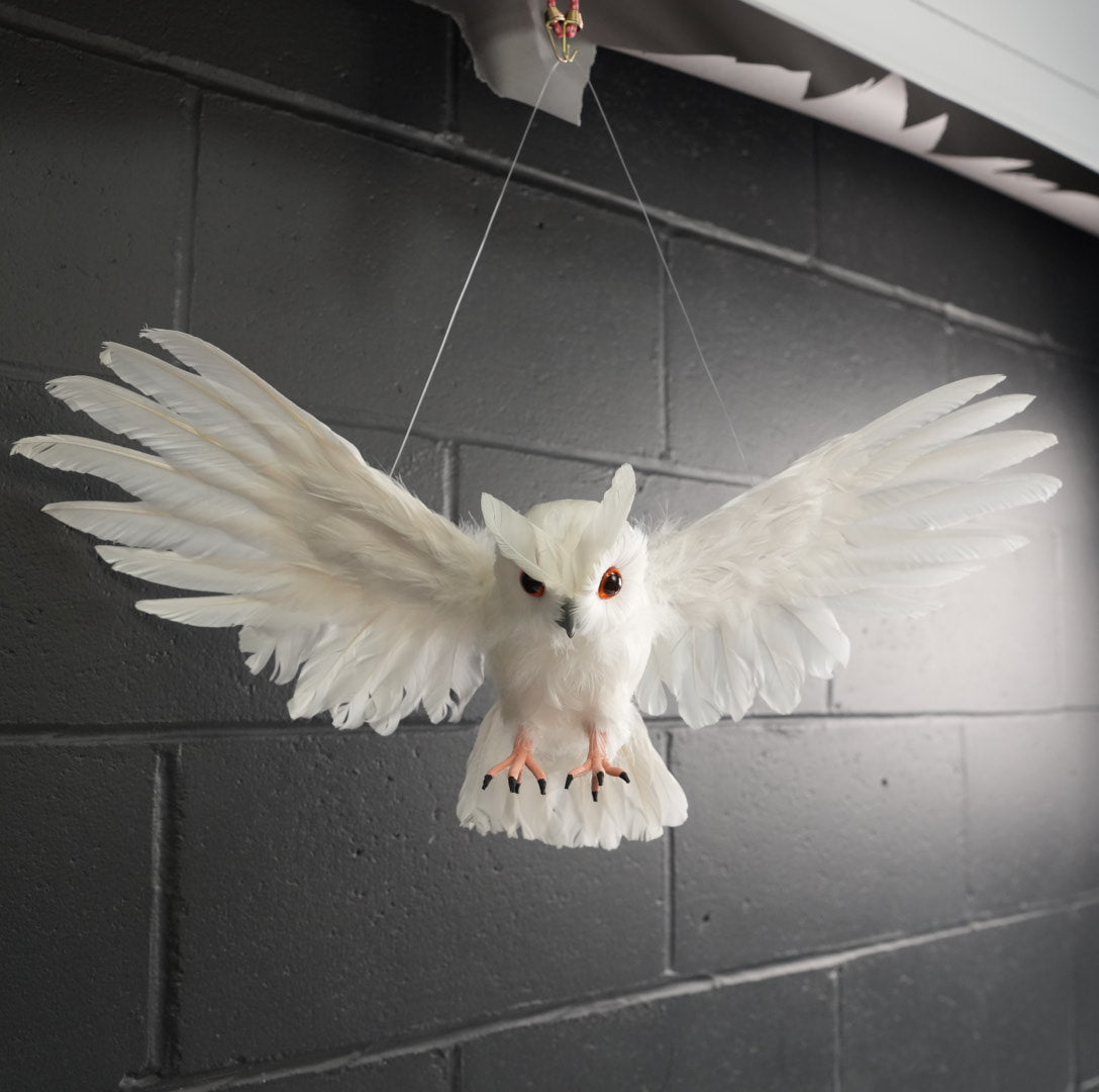 Flying White Owl