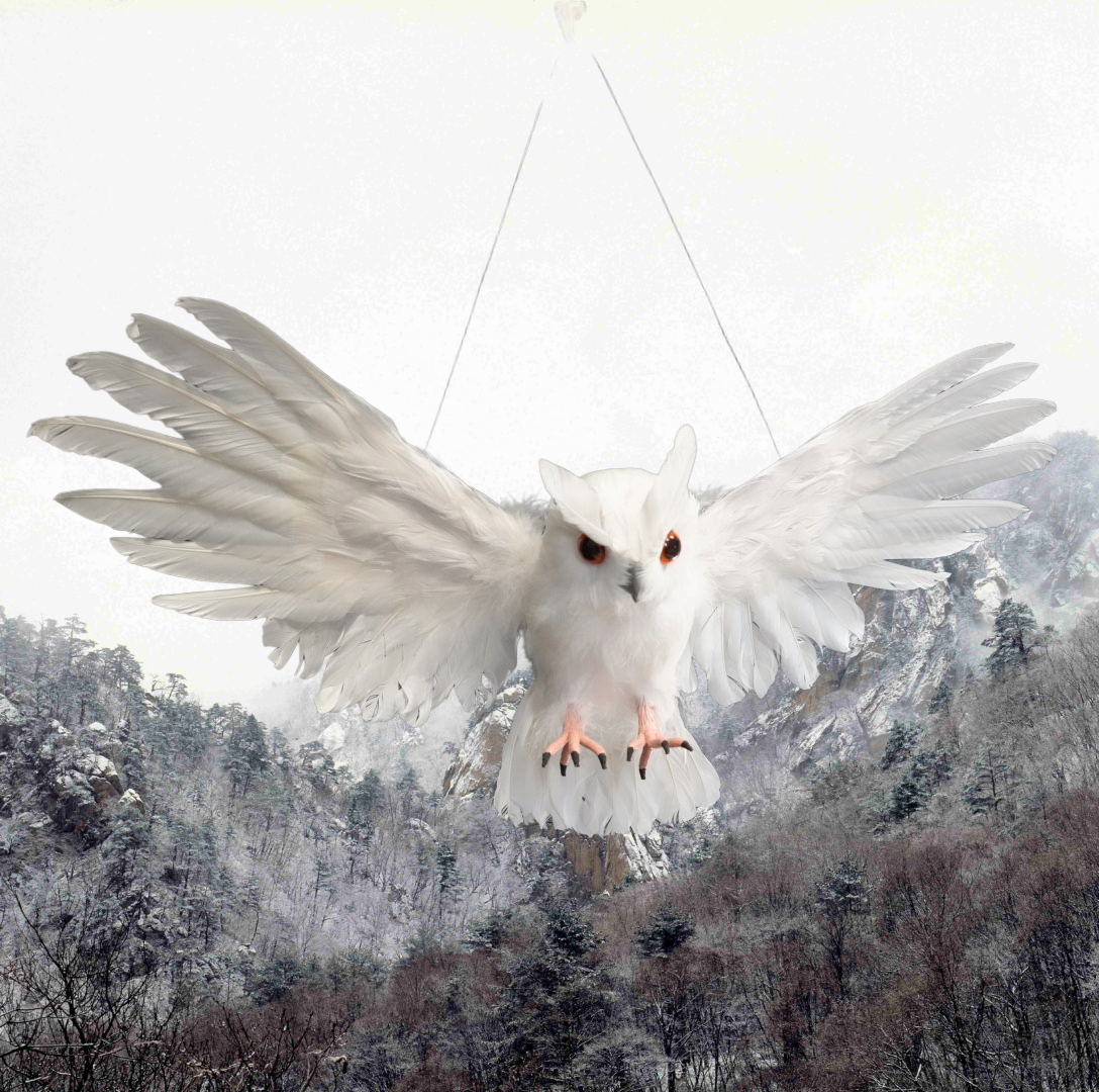 Flying White Owl